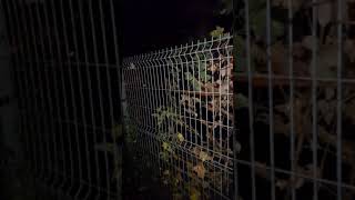 Horror Music Video (Mind, Body, Spirit)