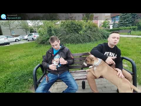 Ziętas x GWZ ZPNS - Może gdyby (Video clip 2k21)