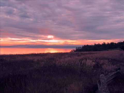 Ronny K. pres. Advanced - Onyx (Original Mix)