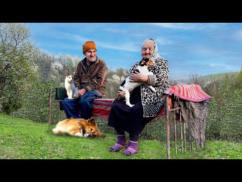 شيخوخة سعيدة لزوجين مسنين مع أصدقائهما من الحيوانات في قرية جبلية