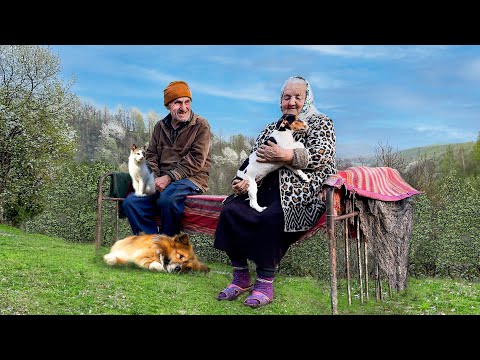 Happy old age of an elderly couple in a mountain village far from civilization