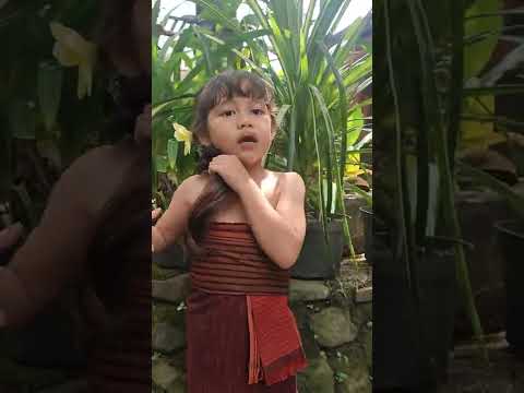 Ketekak ketekok_midori_ ijin ikut nyanyi kk ya 🤗 _chika cempaka