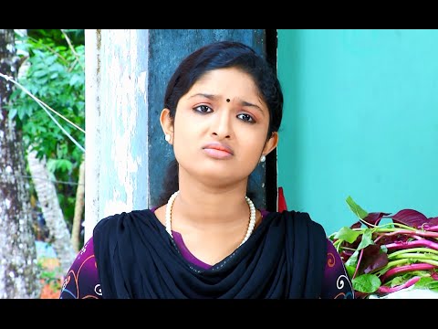 Manjurukum Kaalam I Episode 355 - 24 May 2016 | Mazhavil Manorama