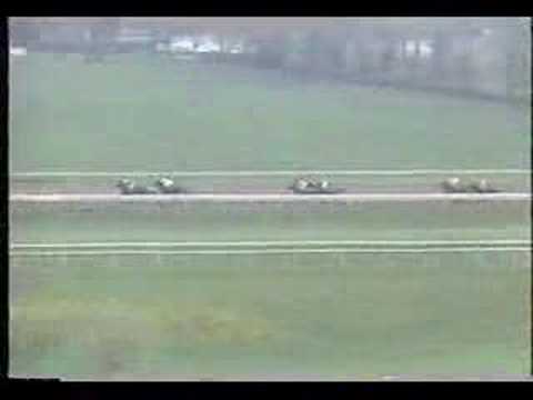 Strike The Gold - Blue Grass Stakes 1991