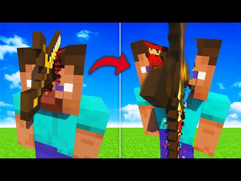 Tiny to Huge Swords vs Giant Steve
