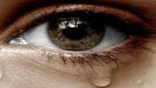 Download lagu SCORPION - Wind of chan || Lirik (Lyrics) & Terjemahan mp3