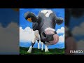 WhatsApp Status FUNNY Cow VIDEO