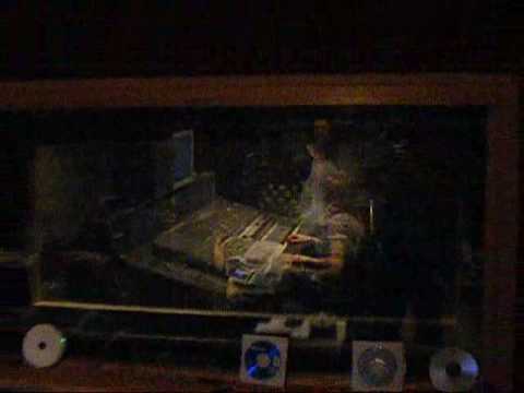 Familia Ideale - Realiteti