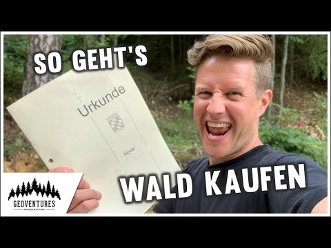 Alle Zahlen alle Fakten - So kaufst du deinen eigenen Wald