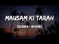 Mausam Ki Tarah Jaanwar Slowed Reverb LoFi Mood 90 S