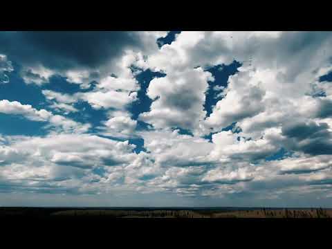 Lenticularis Transformation