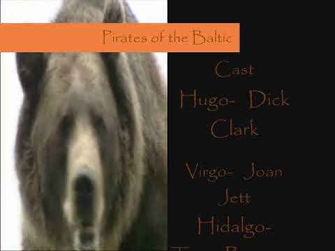 pirates of the baltic