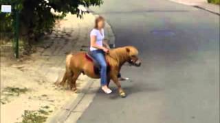 10 weird disturbing funny pictures caught on goolge earth