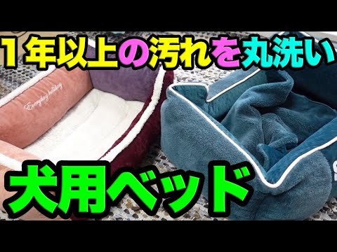 犬用ベッドの洗い方は?