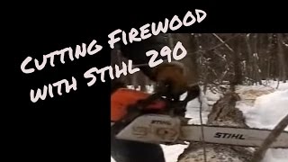 preview picture of video 'Cutting firewood with my Stihl.wmv'