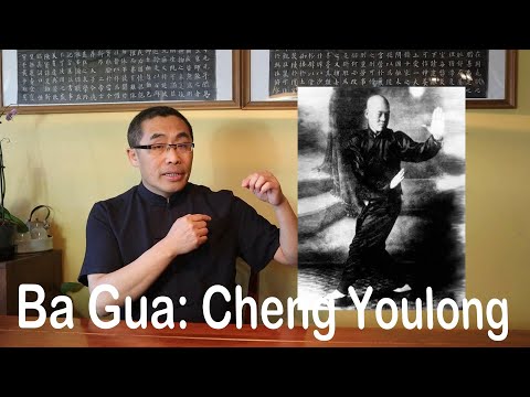 Learning and Evolving From Past Practitioners(7): Cheng Youlong - 程有龙