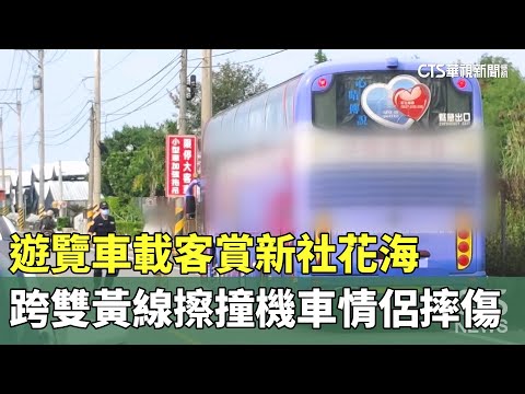 遊覽車載客賞新社花海　跨雙黃線擦撞機車情侶摔傷