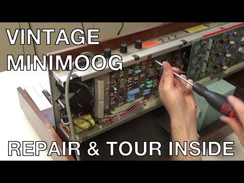 Synthchaser #108 - Vintage Minimoog Repair & Tour Inside