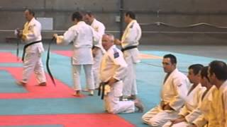 Black Belt 2008 Saint-Étienne