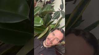 The Countdown is On!