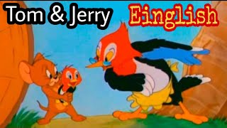 Download lagu Tom and Jerry - 41 Episode - Hatch Up Your Troubles (1949) mp3