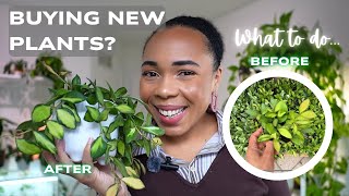 What to do BEFORE & AFTER buying plants from nursery 🌱 🛍️ PLANT SHOPPING GUIDE