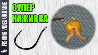 Как насаживать кукурузу на крючок для рыбалки