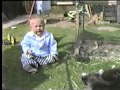 Cat Bites My Baby Son Many Years Ago