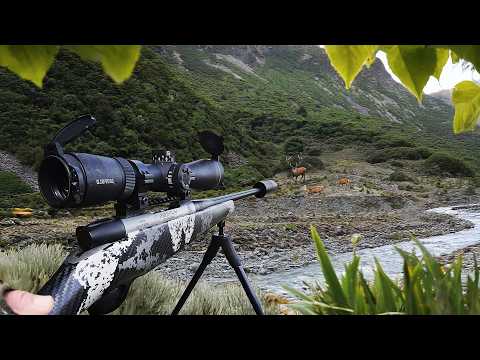 Giant Deer Steps Out at Last Light (Solo Hunt)