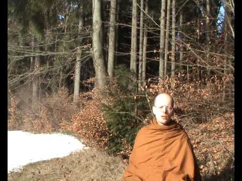 Ven. Gavesako - Methods for calming thoughts 2