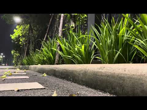 Barbie Dolls New Summer Camp Dorm Bedroom - Titi Toys & Dolls