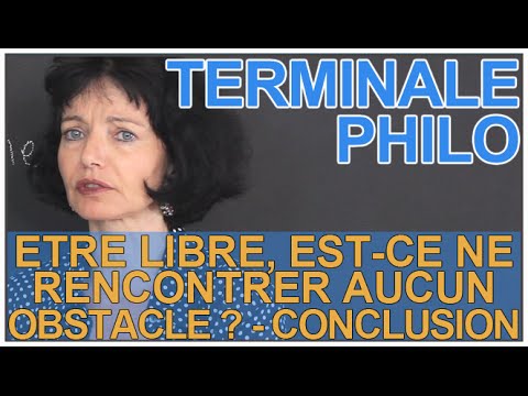 Is being free not encountering any obstacles? Conclusion - Philosophy - Les Bons Profs