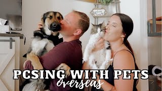 TIPS FOR PCSING WITH PETS OVERSEAS | MILITARY MOVE TO AVIANO AIR BASE