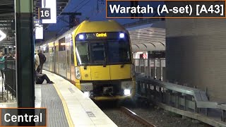 Sydney Trains Waratah (A-set) [A43] at Central