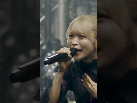 ♪ Lily Live ver. #ringwanderung #live  #idol