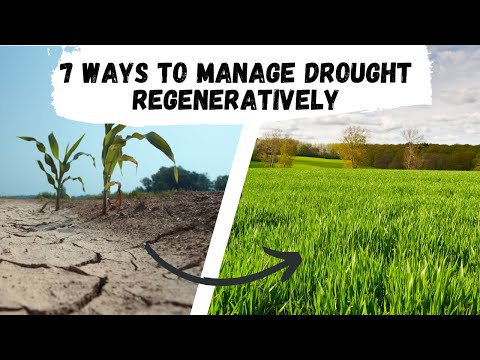 7 Regenerative Ways to Manage Drought