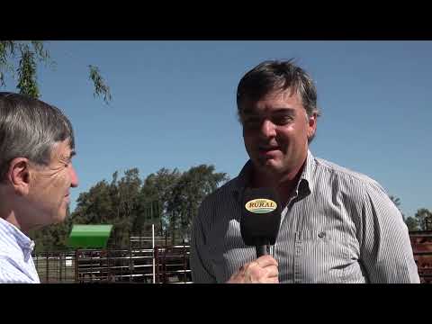 Agenda Ganadera - Santiago Monsegou - 21-11-25