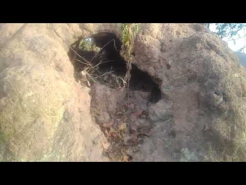 Ekiswa ekyafuluka call 0706442500