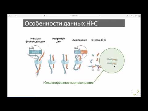 Семестр 3. Лекция 12