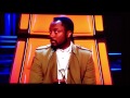 The Voice UK---Bronwen Lewis, Fields of Gold ...