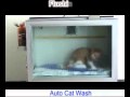 AUTO Cat Washer Wmv