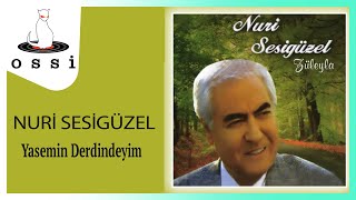 Nuri Sesigüzel / Yasemin Derdindeyim