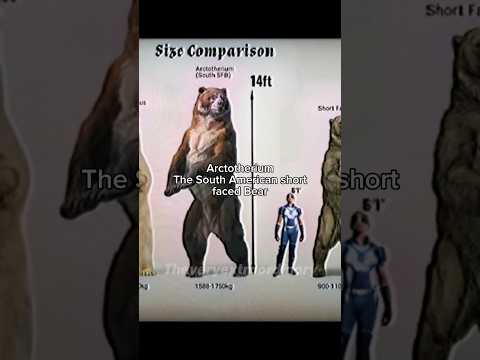 The 2 scariest Bears to ever walk the earth… #prehistoric #bear #extinct #shortfacedbear #animals