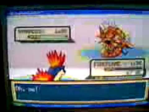 gyarados rosso in shiny gold