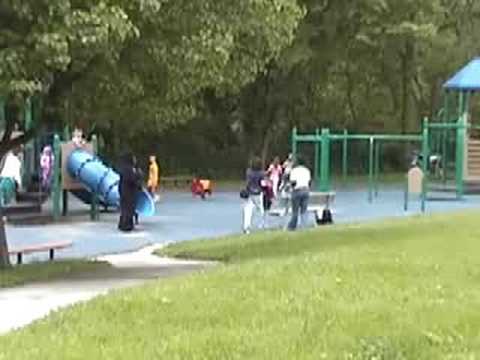 Gorilla in Wauwatosa