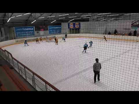 20201121 Pelicans 2 - Ilves U13 Detroit