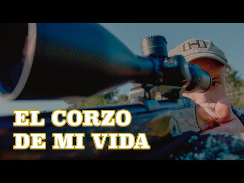 El corzo de mi vida