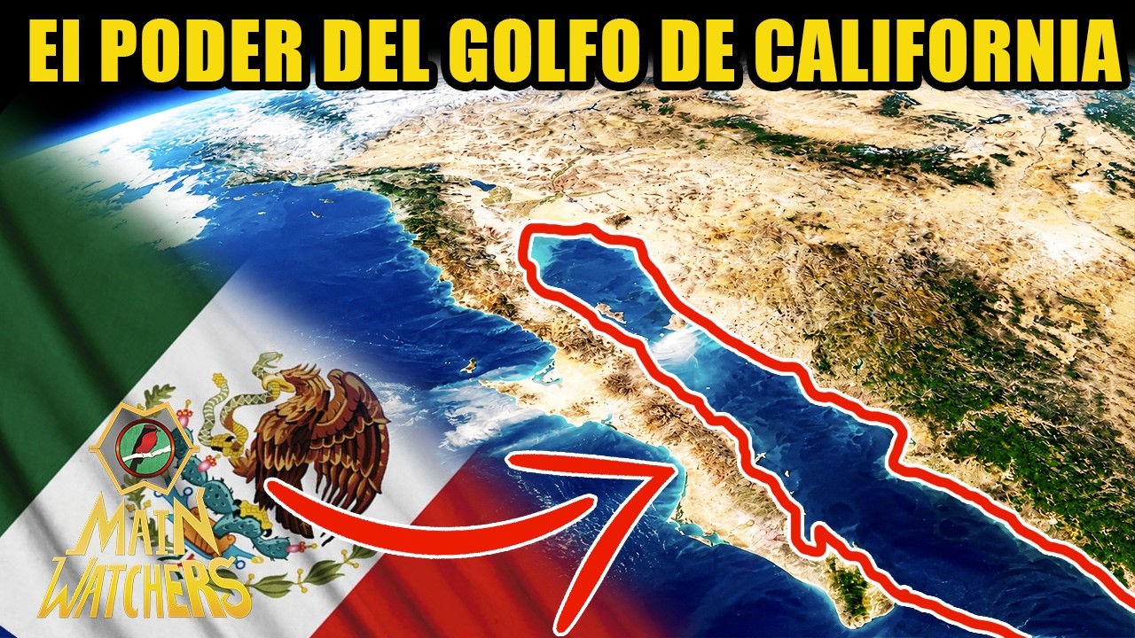 Por qué el MUNDO ENVIDIA el GOLFO de CALIFORNIA?