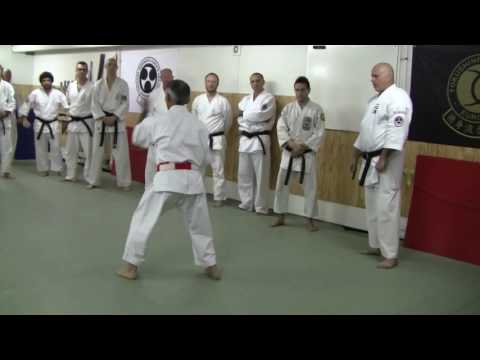 JOSHINKAN ISSHINRYU KARATE KOBUDO ASSOCIATION 4/4 - Training The Kata