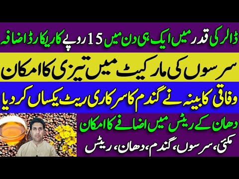 Wheat support price || SarSon wHeat Dhan Rates 02/03/2023| Mustard price | caNola Rates Punjab